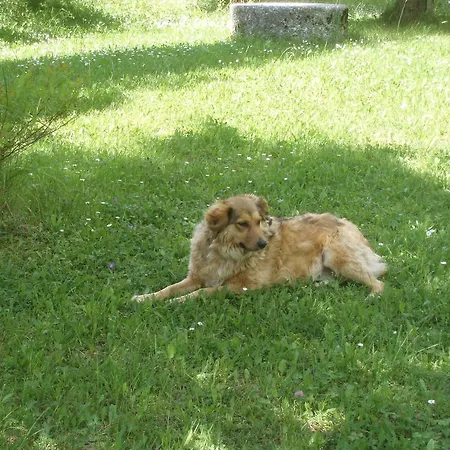 Gaestehaus Lienharterhof 오베르틸리아치