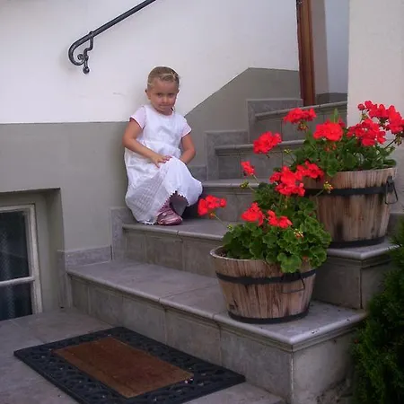 Gastehaus Lienharterhof Guest house Obertilliach