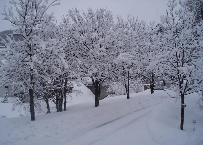 Lienharterhof 2* Obertilliach