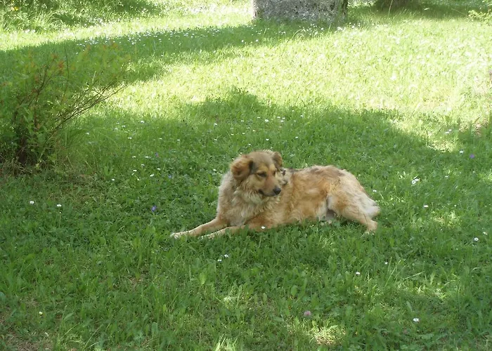 Lienharterhof Obertilliach